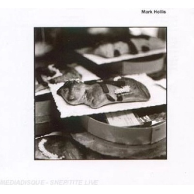Hollis Mark - Formerly Of Talk Talk CD