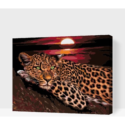 Maľovanie podľa čísiel Leopard pri západe slnka