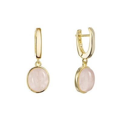 Evolution Group Pozlacené visací náušnice 11737.3