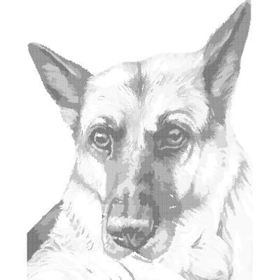 ZUTY Bodkovanie - VLČIAK Rámovanie: bez rámu a bez vypnutia plátna, Rozmer: 40x50 cm