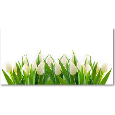Fotoobraz na skle biele tulipány 100x50 cm