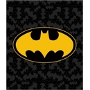E plus M Fleecová deka Batman