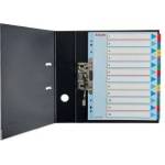 Esselte Binder holders for A4 Mylar with descriptive page 1-31 (10K200C)