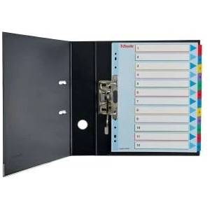 Esselte Binder holders for A4 Mylar with descriptive page 1-31 (10K200C)