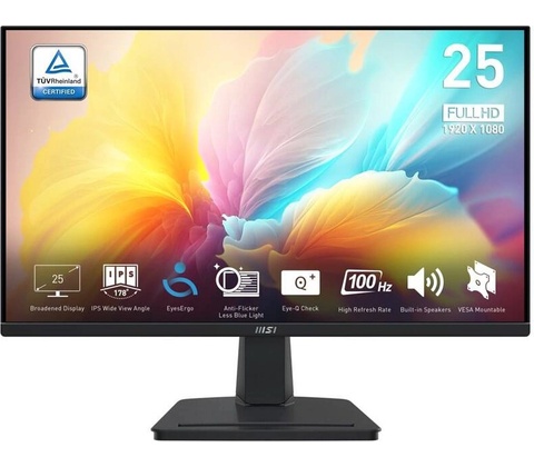 MSI Pro MP252