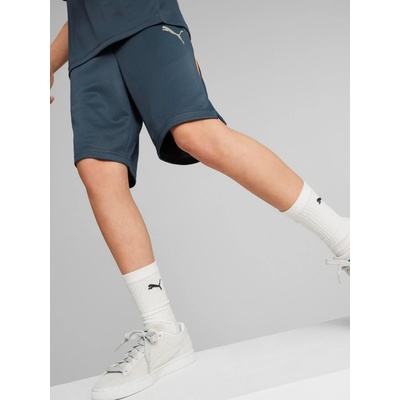Puma Active Sports Poly Shorts