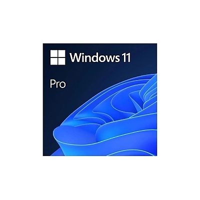 Microsoft Win 11 pro 64bit eng usb fpp (win 11 pro 64bit eng usb fpp)