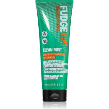 Image 1 of Fudge Clean Mint Shampoo шампоан за мазна коса 250ml