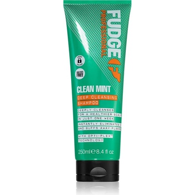 Fudge Clean Mint Shampoo шампоан за мазна коса 250ml