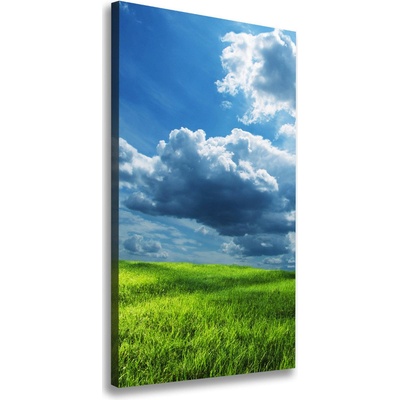 Vertikálny foto obraz na plátne Mraky nad poľom 50x100 cm
