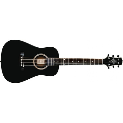 Ashton Mini 20