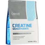 OstroVit Creatine Monohydrate Powder - Micronized [300 грама] Неовкусен
