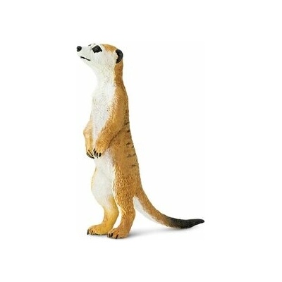 Safari Meerkat uni