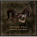 Jethro Tull Curious Ruminant 1 CD