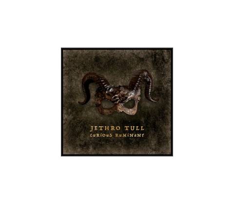 Jethro Tull Curious Ruminant 1 CD