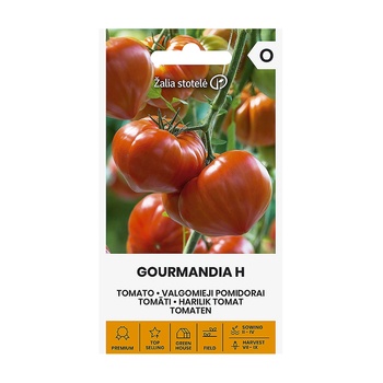 Seklos Домат Гурмандиа F1 Gourmandia H