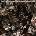 Jamie.T - Panic Prevention CD