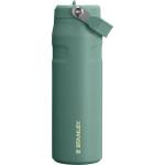 STANLEY 1913 Flip Straw Drinking Bottle with Straw 0.7L - Thermo Mug Cools for 10 Hours - Ice Cold for 3 Days - BPA Free - Leakproof - For Drink Holders - Dishwasher Safe - Shale - 100000143061 (10-13072-085)