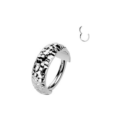 Šperky4U Segment kruh helix / cartilage / tragus piercing TITAN TIT1689-1208