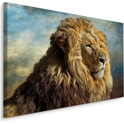 MyBestHome BOX Plátno Majestátní 3D Lev Varianta: 70x50