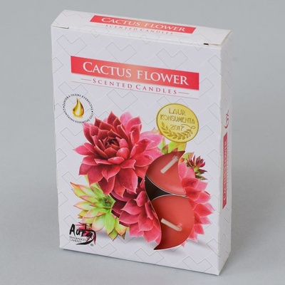 Bispol Aura Cactus Flower 6 ks