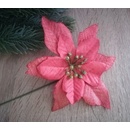 Vianočná ruža