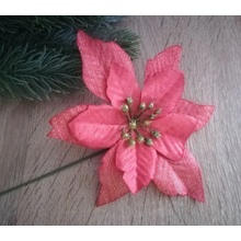 Vianočná ruža
