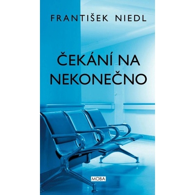 Čekání na nekonečno - František Niedl