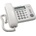Panasonic KX-TS560FXW