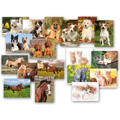 MFP pohlednice Zvířátka mix B