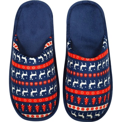 Frogies pánske papuče Winter classic