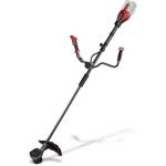 Einhell GP-BC 36/430 Li BL-Solo (3411340) Моторен тример