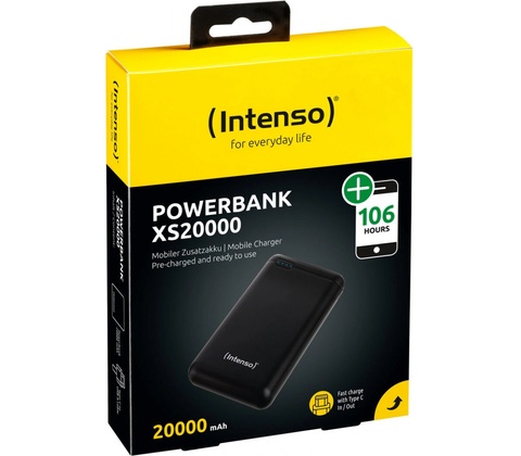 Intenso 7313550