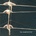 MESSTHETICS - MESSTHETICS CD