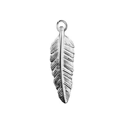 Šperky4U Velký ocelový přívěšek lístek OPP1765