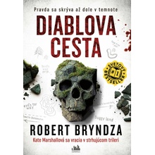 Diablova cesta - Bryndza Robert
