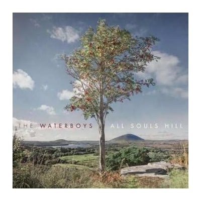 The Waterboys - All Souls Hill LP