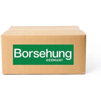 Stabilizátor podvozku Borsehung B10811