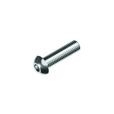 Hahn Steel Imbusový šroub s hřibovitou hlavou M5 x 12 mm, AISI 304 93.0511.512.17 – Zboží Dáma