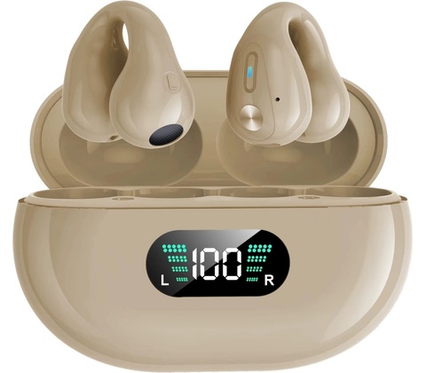 Ear Clip ProTech Q80