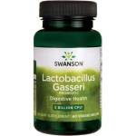 Swanson Lactobacillus Gasseri, 60 капсули, Swanson (SWA027)