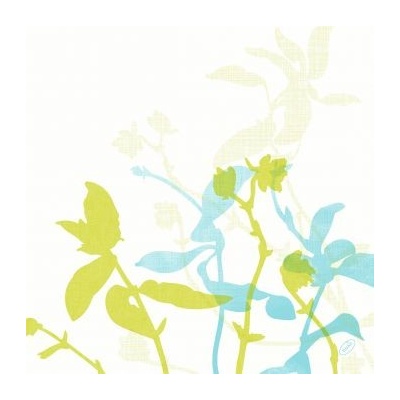 Dunisoft Ubrousek Elise 40x40cm