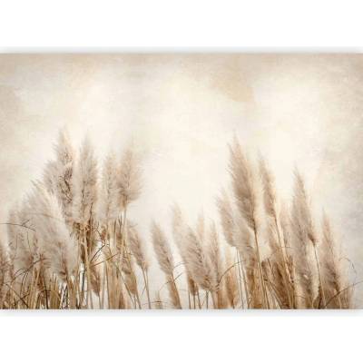 Murando Vliesová fototapeta Odstíny hnědé a béžové 350x256 cm 3D