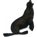 Collecta Uškatec hrivnatý