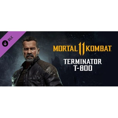 Warner Bros. Interactive Mortal Kombat 11 Terminator T-800 (PC)