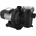 IBO SWIM 025 122788