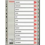 Esselte Binder holders A4 PP grey (10K154IZ)