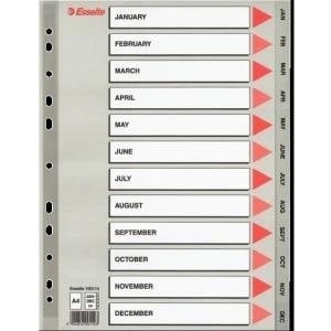 Esselte Binder holders A4 PP grey (10K154IZ)