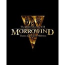 Hry na PC The Elder Scrolls 3: Morrowind GOTY