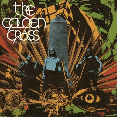 The Golden Grass - LIFE IS MUCH STRANGER Vinyl